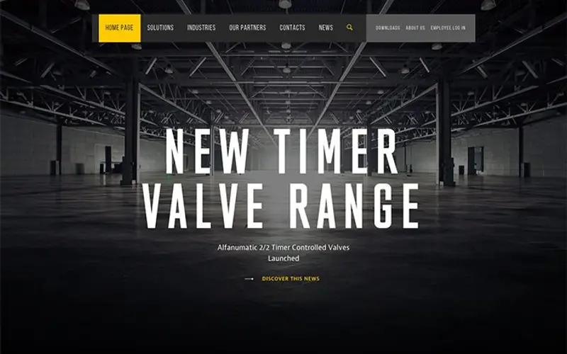 Acme World website preview