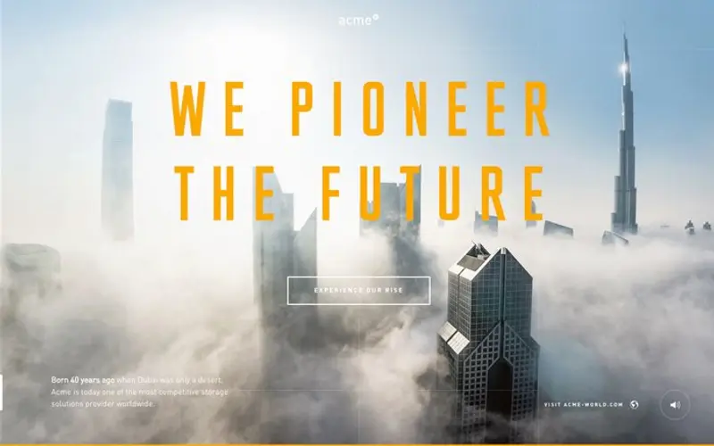 ACME website preview